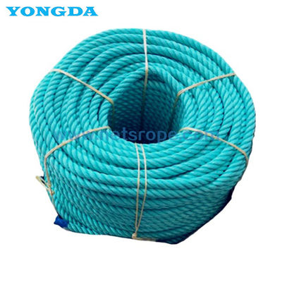 Dây Polyester 6 sợi chống tia cực tím