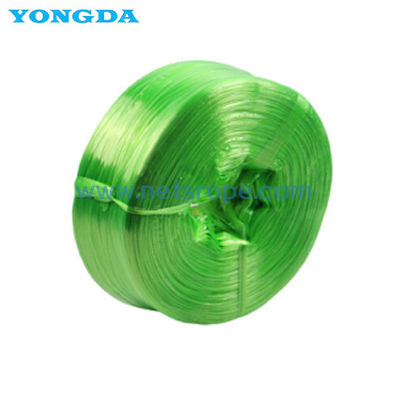 12 sợi dây polypropylen phim chia