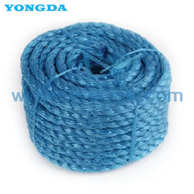 8 sợi dây polypropylen phim chia